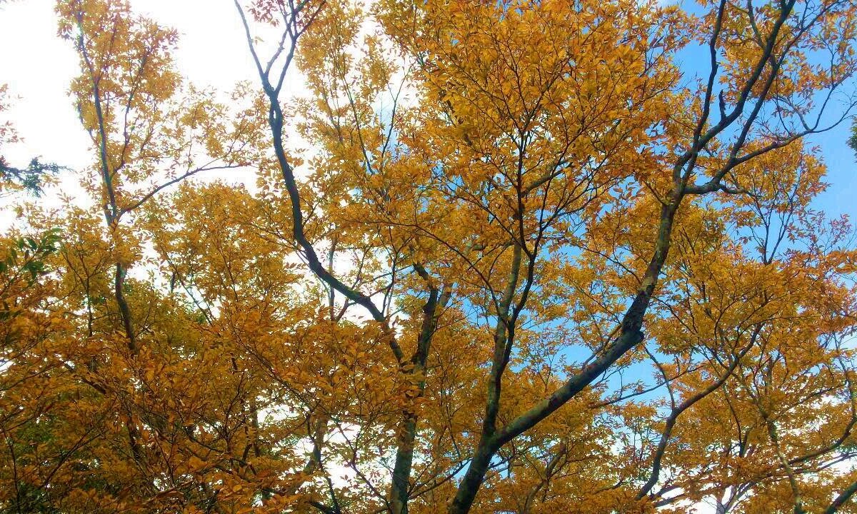 Taiwan Beech National Trail Nan Ao All You Need To Know Before You Go