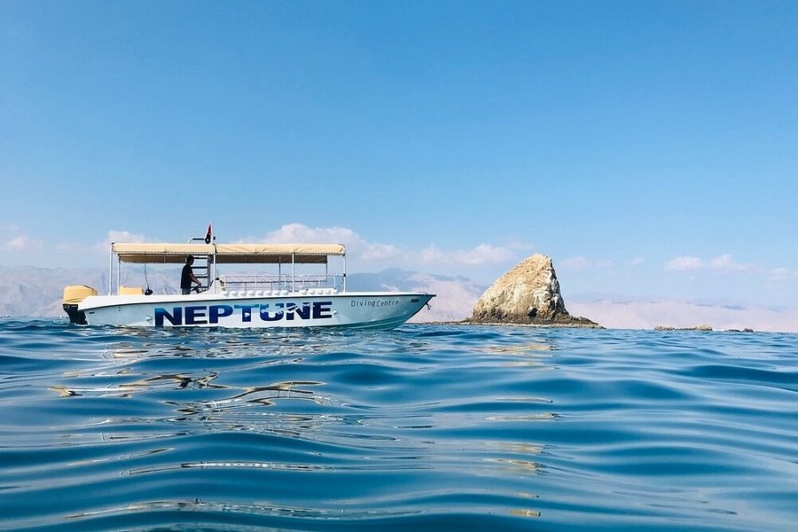 Neptune Diving Center image