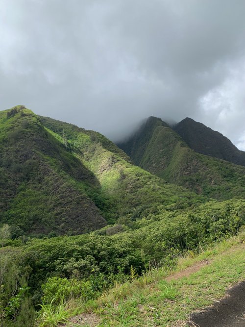 Maui Ashley m review images