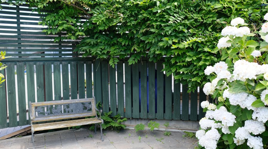 Montana Lodge Motel - Garden