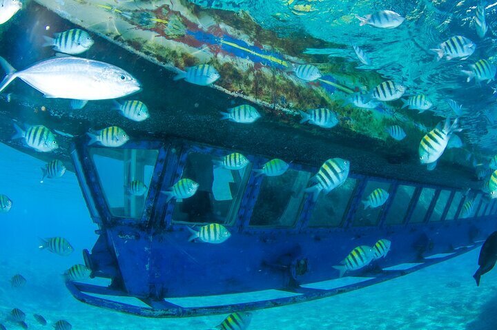 boat tours in cancun mexico