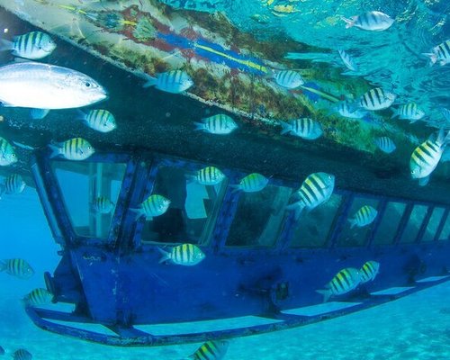 MEJORES Tours en submarinos en México (Actualizado 2023)