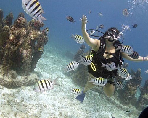 THE 10 BEST Isla Mujeres Scuba Diving & Snorkeling (Updated 2024)