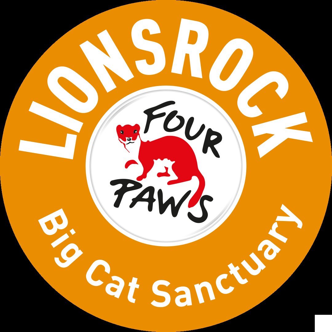lionsrock-big-cat-sanctuary-updated-2024-prices-lodge-reviews