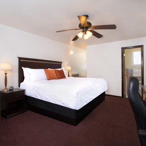 Updated king room - pet friendly!