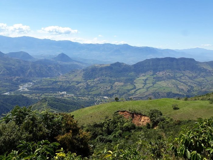 Homestay Vista Hermosa Hacienda Turística y Cafetera, Abejorral