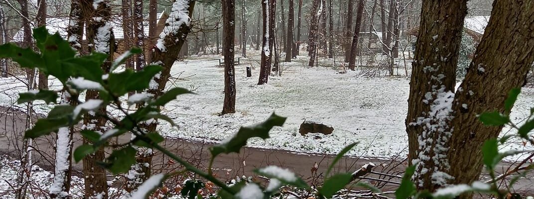 winter ook neer gestreken bij ons op de camping