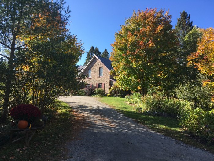 Morgan House Bed And Breakfast And Wool Works Studio Ontario Canada