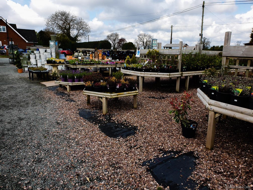 WOODHOUSE GREEN NURSERIES All You Need to Know