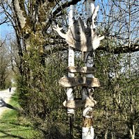 Hinweisschild am Moosrundweg