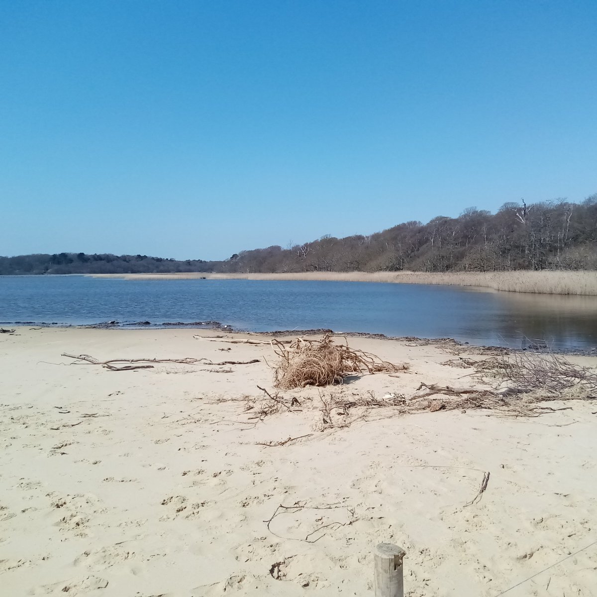 Covehithe Beach (beccles) - All You Need To Know Before You Go