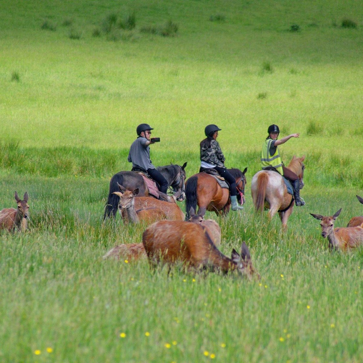 killarney-riding-stables-atualizado-2022-o-que-saber-antes-de-ir