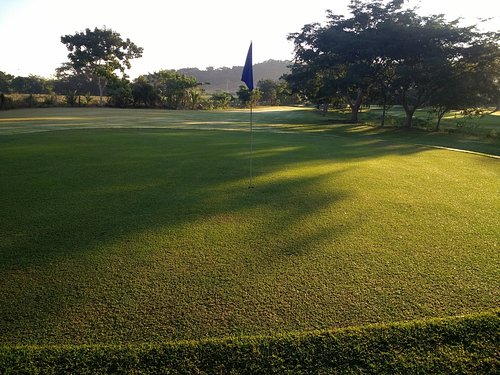 Pro Shop Puppy - Picture of El Tigre Golf at Paradise Village, Nuevo  Vallarta - Tripadvisor