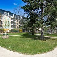 Square Ribot