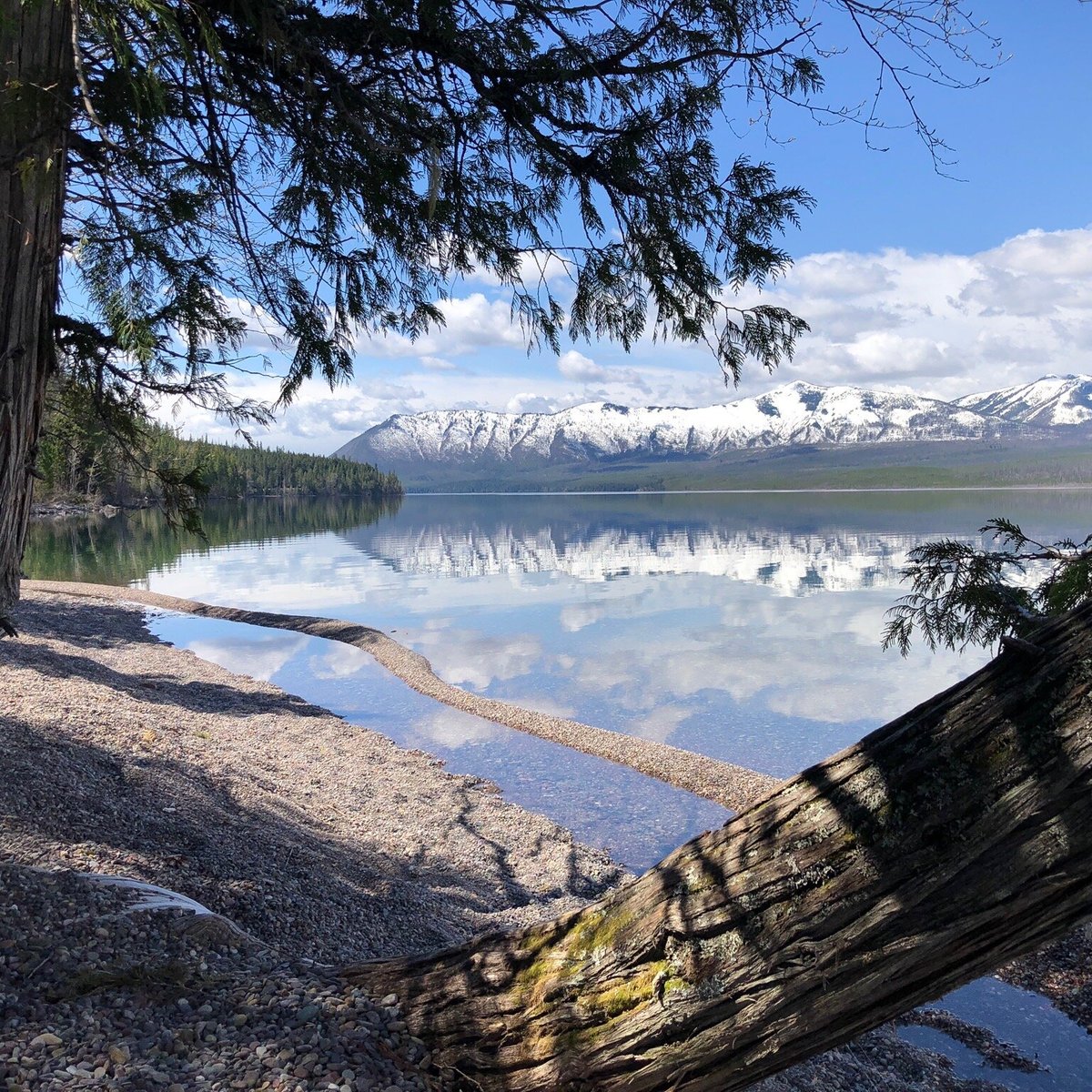 are dogs allowed at lake mcdonald