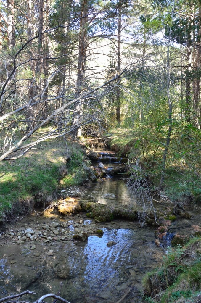 Imagen 9 de Apartamentos Sierra de Gudar