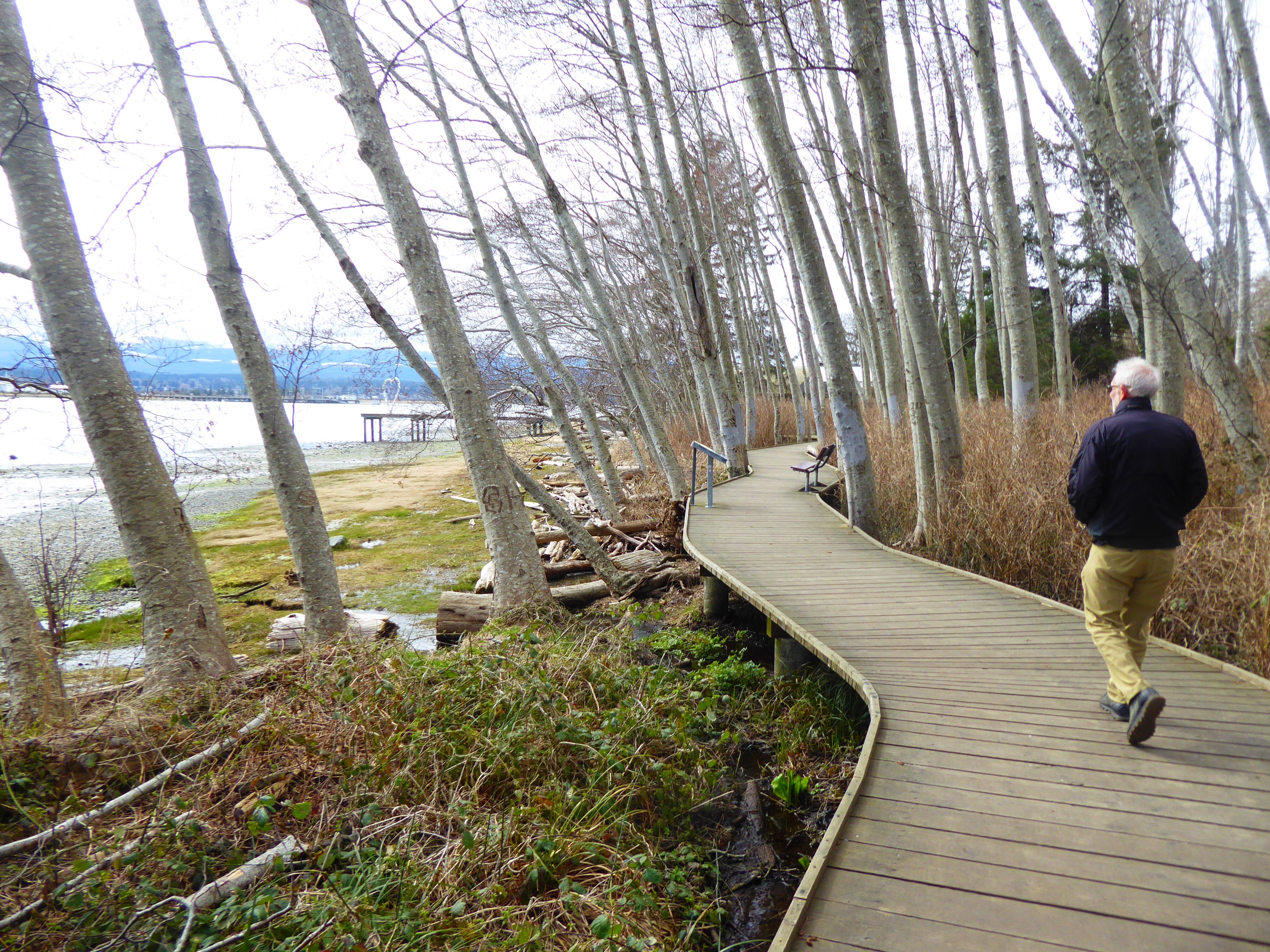 Mack Laing Nature Park (Comox) - 2022 Alles Wat U Moet Weten VOORDAT Je ...