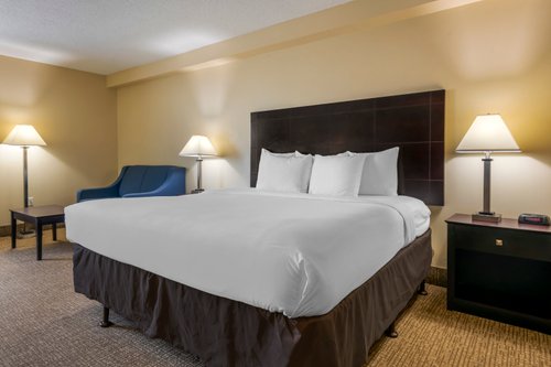 Comfort Inn International Drive - Updated 2024 Prices & Hotel Reviews 