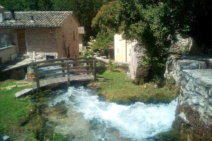 BIBLIOTECA COMUNALE