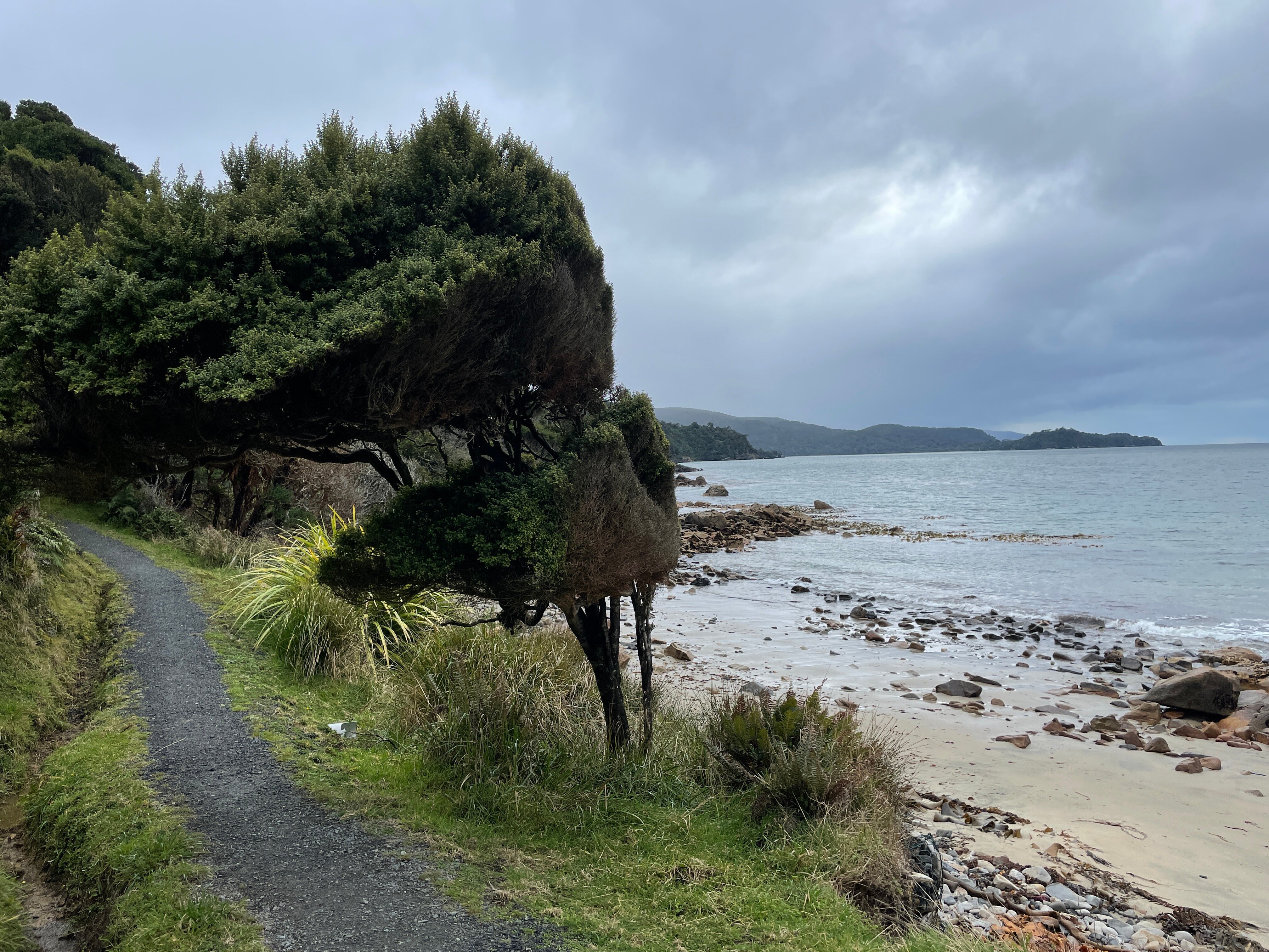 Rakiura Track - All You Need To Know BEFORE You Go (2024)