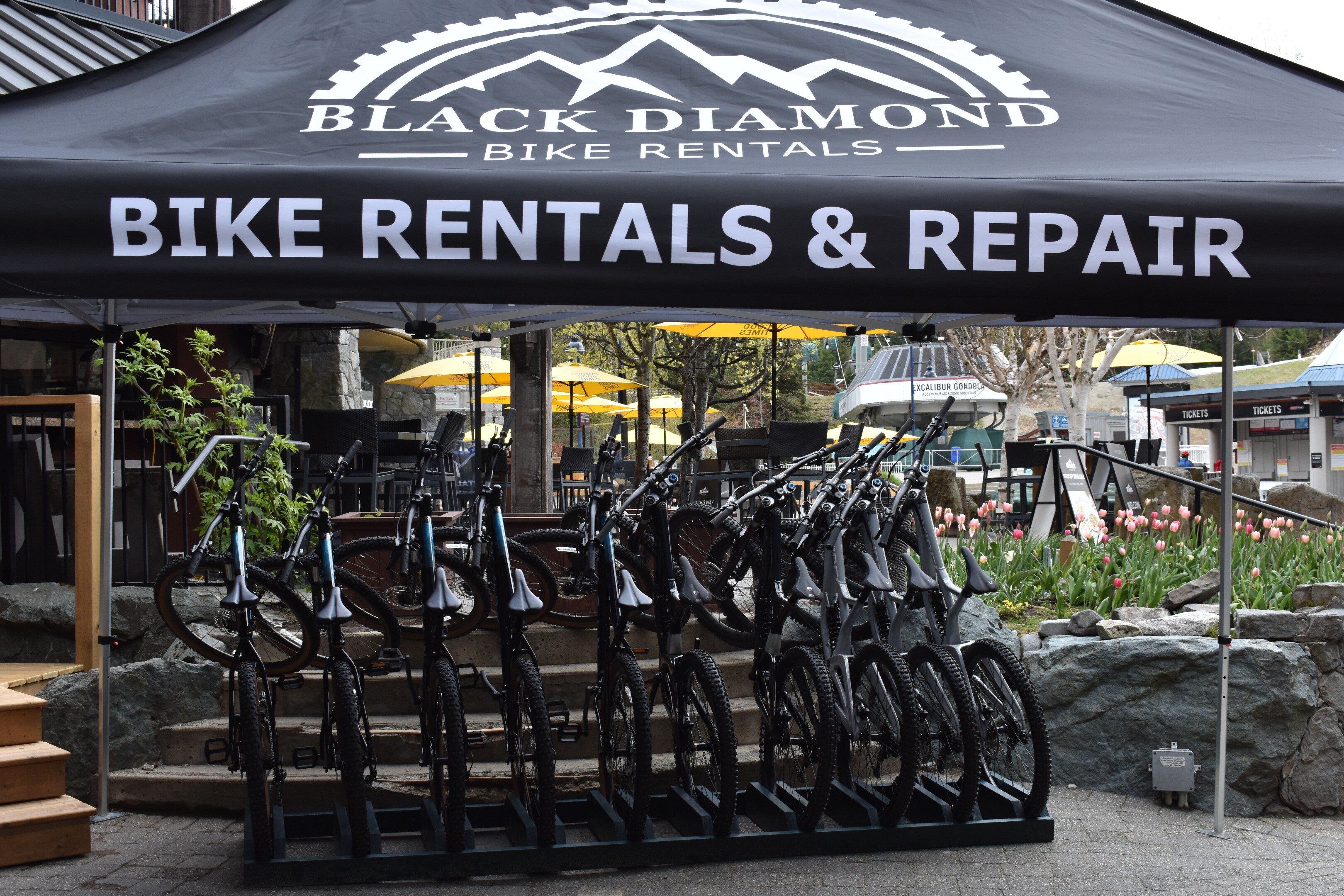 Diamond hotsell black bicicleta