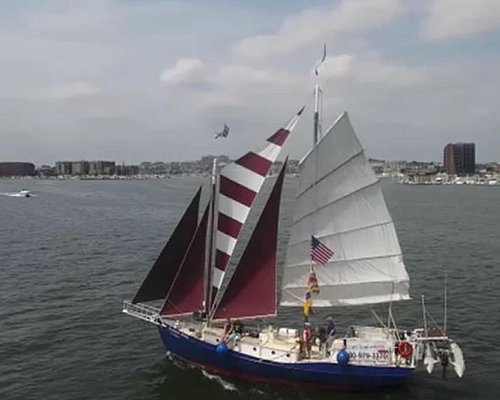 american sailing tours photos