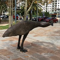 Emu sculpture