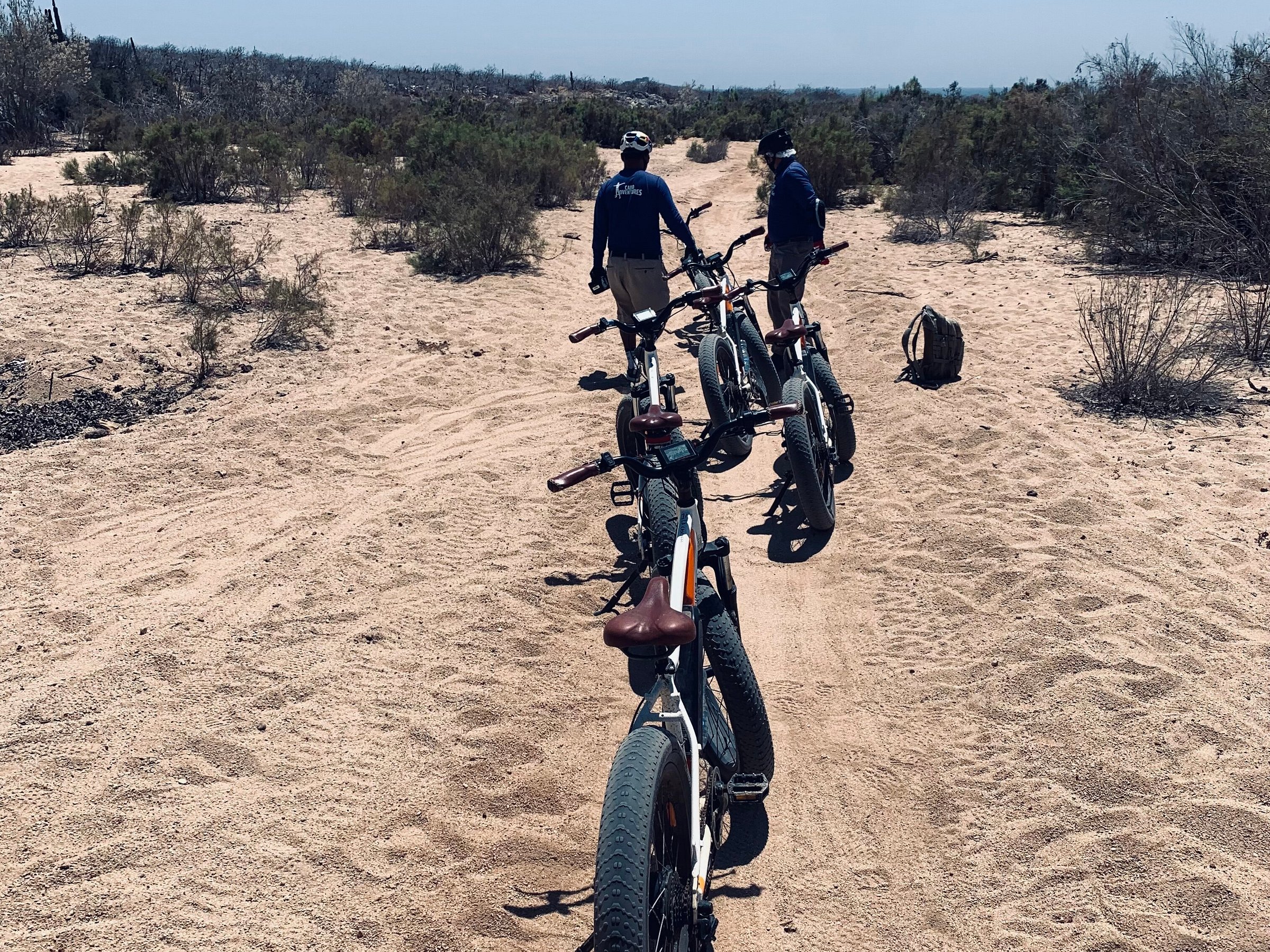 mountain biking cabo san lucas