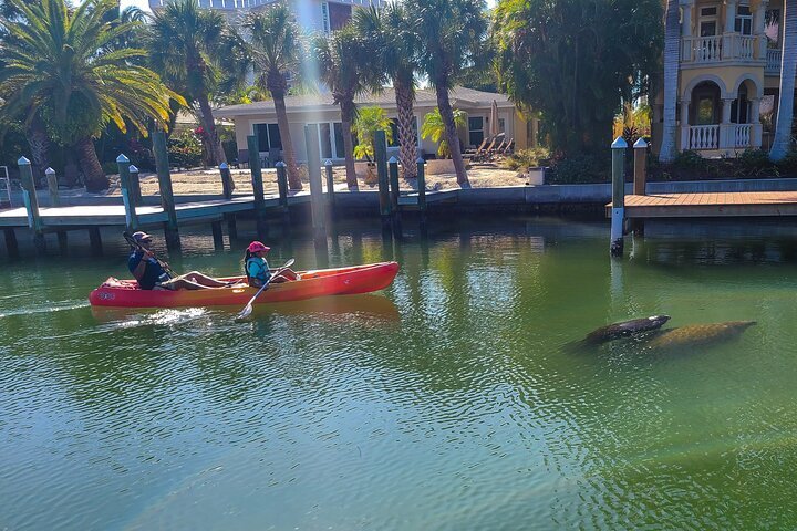 2024 Siesta Key Kayak Tour provided by SURFit USA