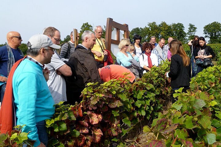 Discovery of Champagne in a private group - by minibus - PARISCityVISION