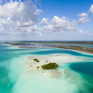 bacalar