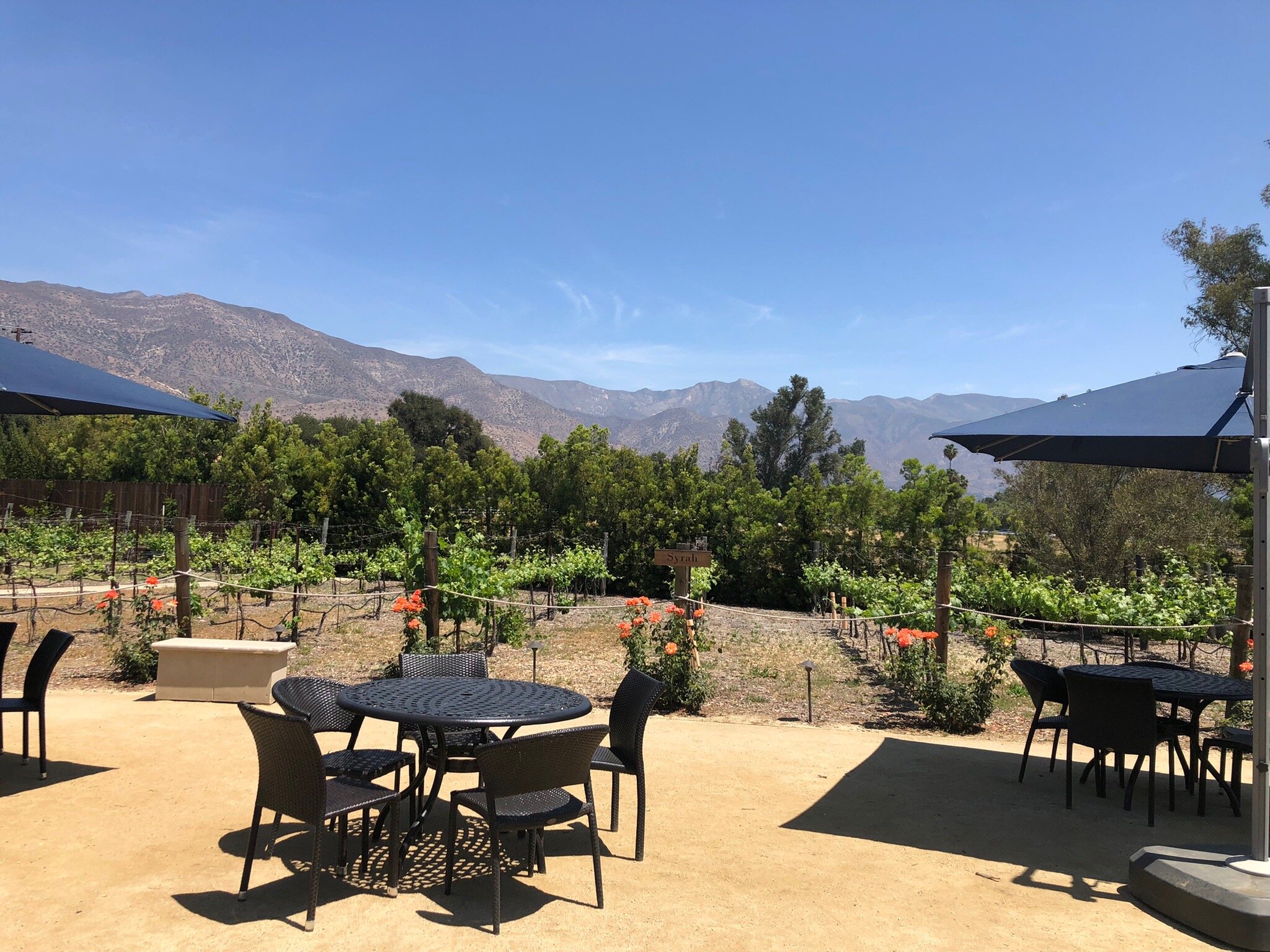 Topa Mountain Winery Ojai Your Guide BEFORE You Go