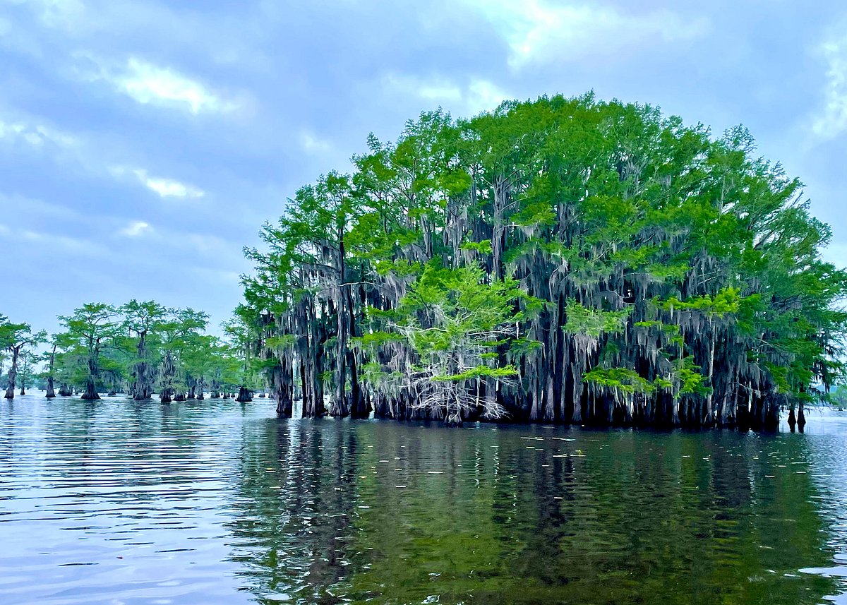 Ole Jigger Caddo Lake Adventures (Karnack) 2022 Alles wat u moet