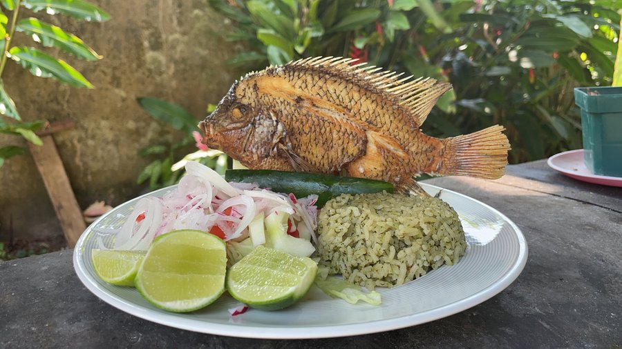 Fried Mojarra with a salad and rice al cilantro. 