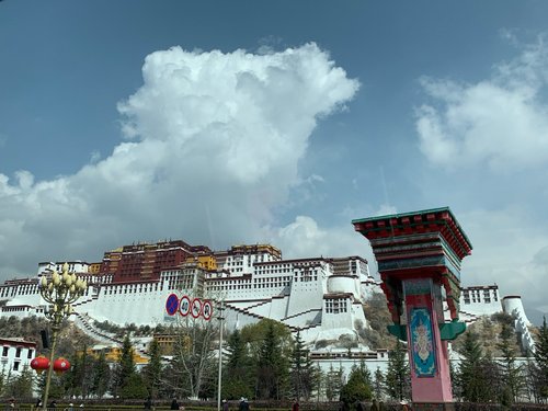 Lhasa taitaimimi review images