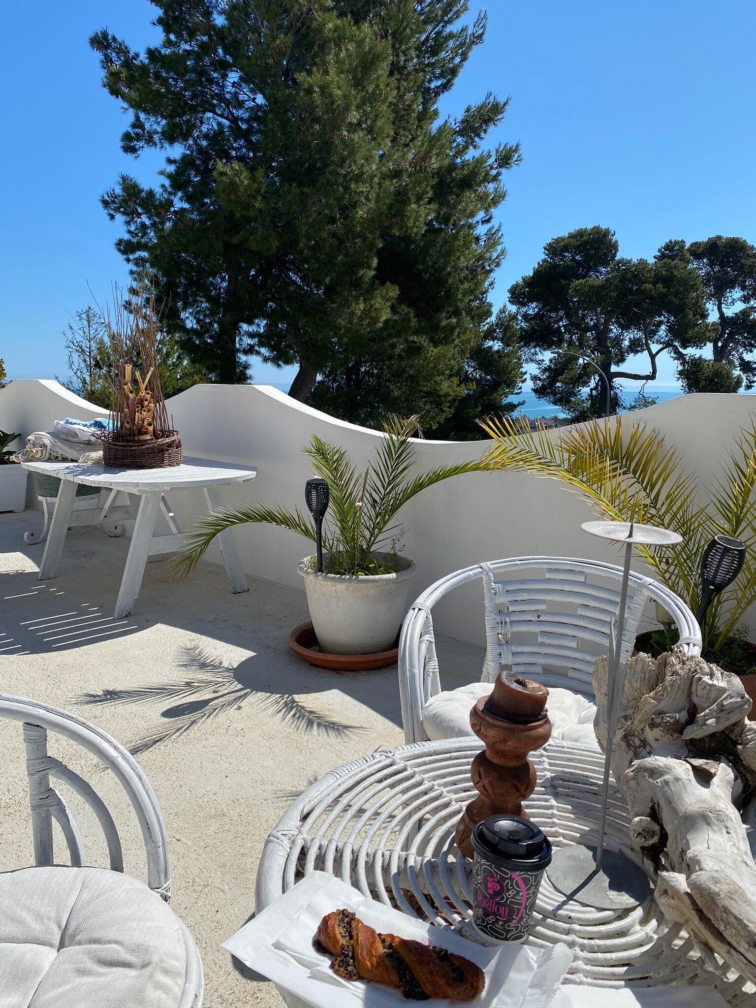 VILLA TROPICAL B&B (Francavilla Al Mare): Prezzi E Recensioni 2023