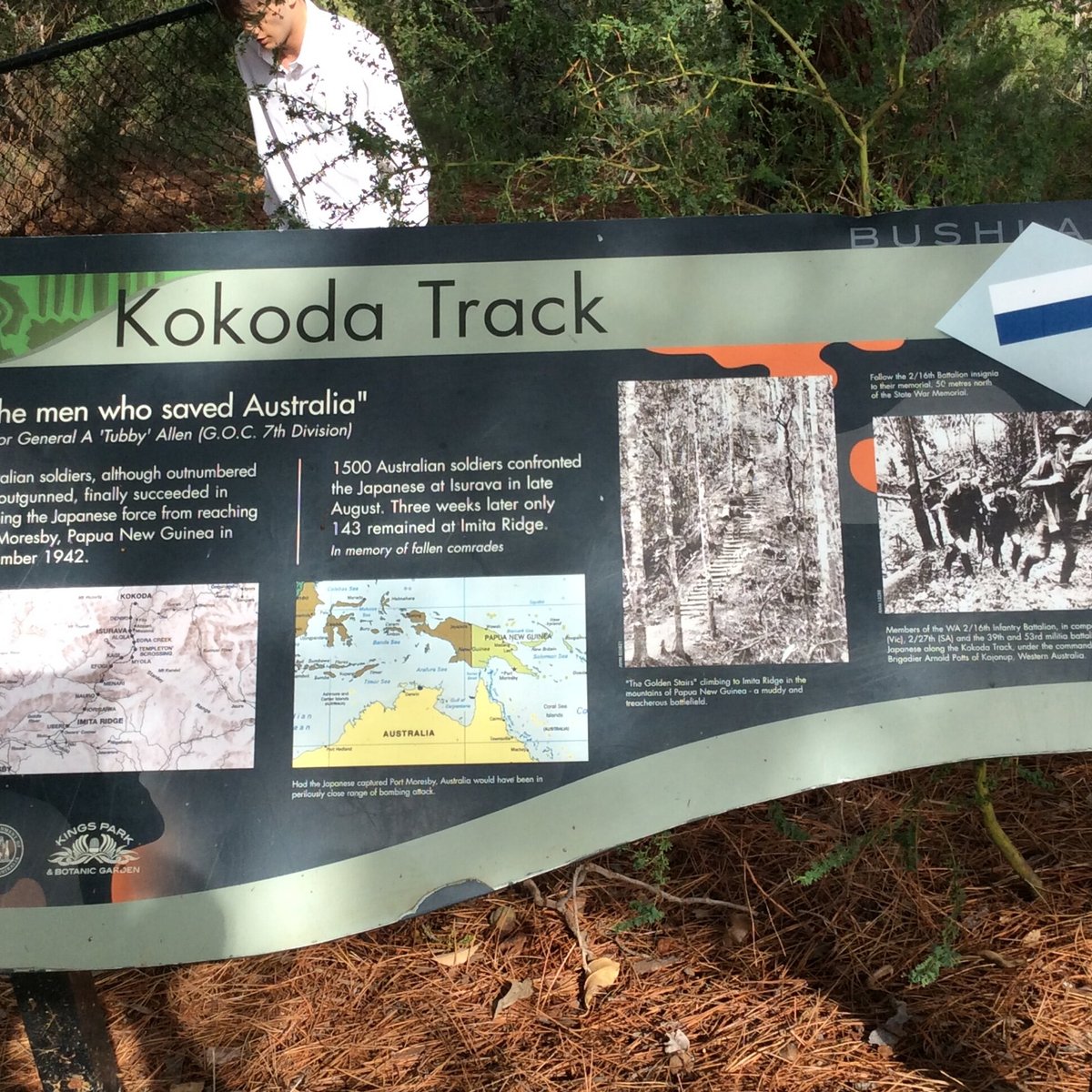 Kokoda Track Memorial Walk All You Need to Know BEFORE You Go (2024)