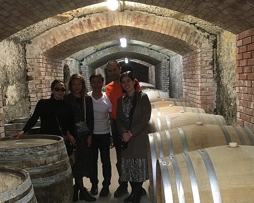 budapest wine tour
