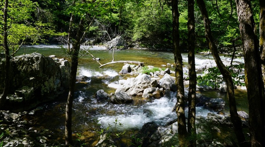 Laurel River Trail, Marshall NC