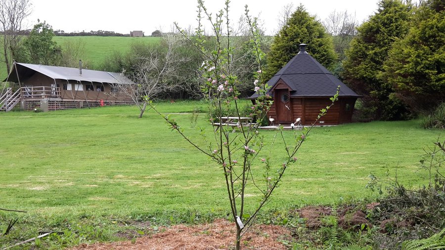 @ glamping options