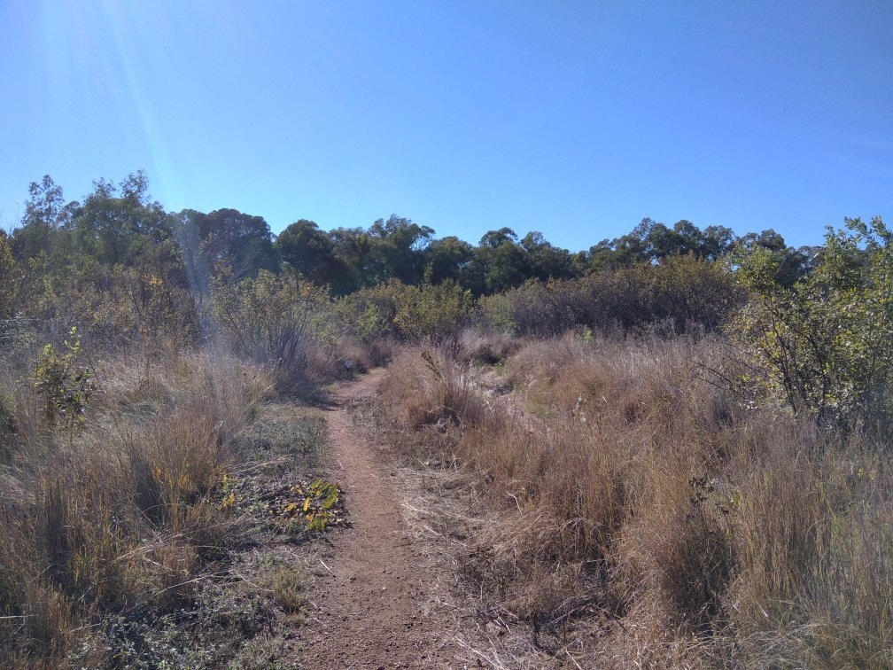 The big red barn mtb online trails