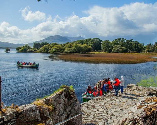bus tours from belfast to killarney prices