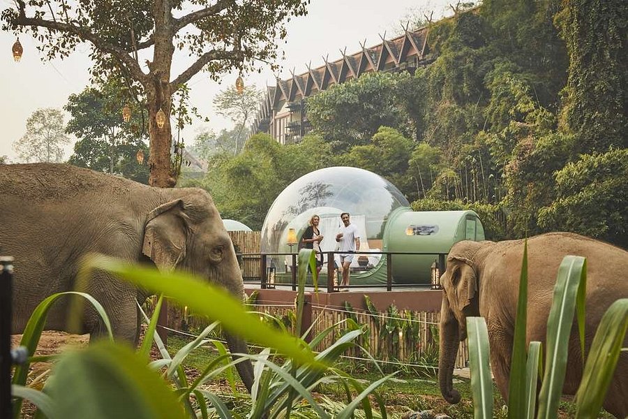 ANANTARA GOLDEN ELEPHANT CAMP & - Updated & Reviews (Chiang Rai Province, Thailand - Chiang Saen) - Tripadvisor