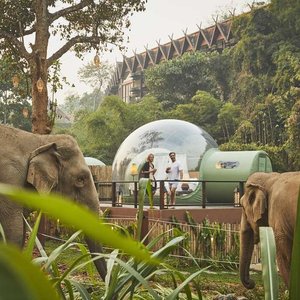 Exterior view of couple watching elephants from terrace of Jungle Bubble