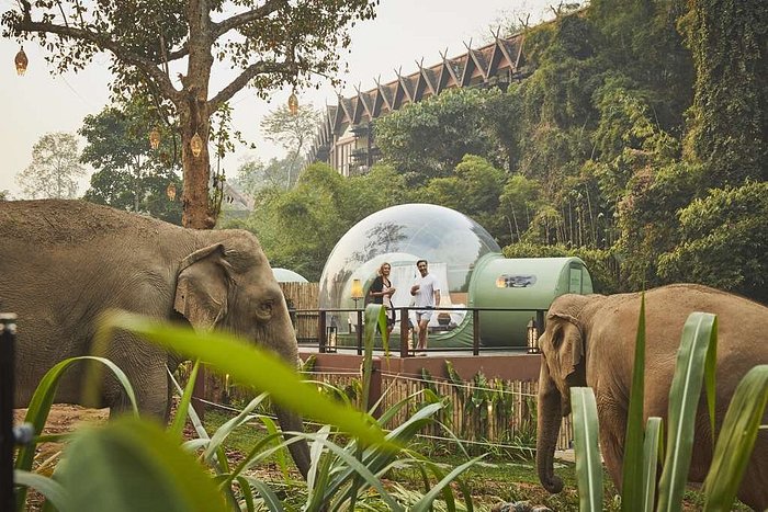 Anantara Golden Triangle Elephant Camp & Resort : tarifs 2023 et 42 avis