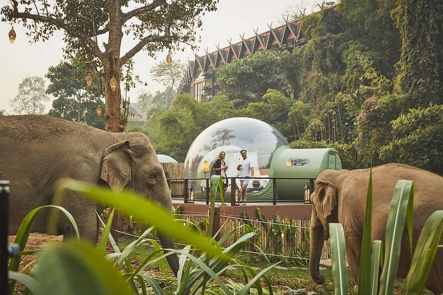 ANANTARA GOLDEN TRIANGLE ELEPHANT CAMP & RESORT - Updated 2021 Prices & Reviews (Chiang Rai Province, Thailand - Chiang Saen) - Tripadvisor