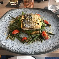 Snapper