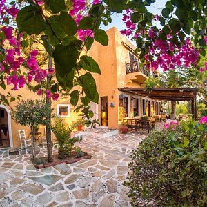 Our Traditional Hotels garden... At Vagia, Aegina. 
