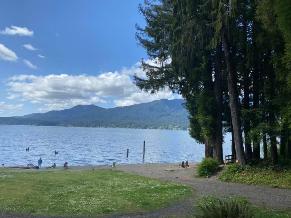 Lake Quinault Lodge Updated 2024 Reviews Photos And Prices 5188