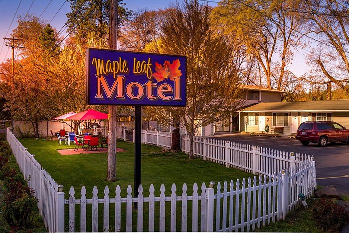 메이플 리프 모텔 (Maple Leaf Motel, 샤디코브) - 호텔 리뷰 & 가격 비교 메이플 리프 모텔 (Maple Leaf Motel, 샤디코브) - 호텔 리뷰 & 가격 비교